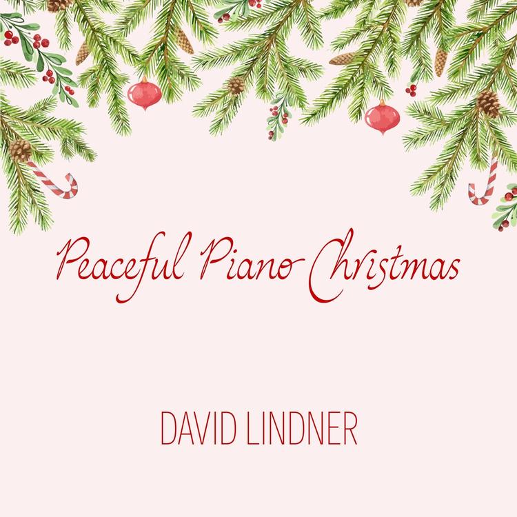 David Lindner's avatar image