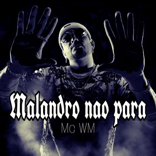 Malandro Nao Para's cover