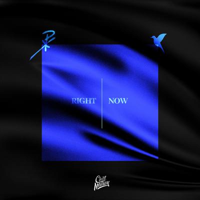 Right Now By Nurko, Misdom's cover