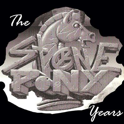 The Stone Pony Years's cover