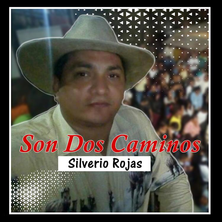 Silverio Rojas's avatar image