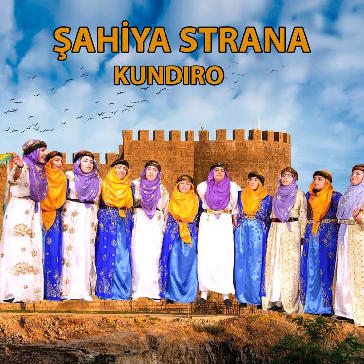 Şahiya Stranan's avatar image
