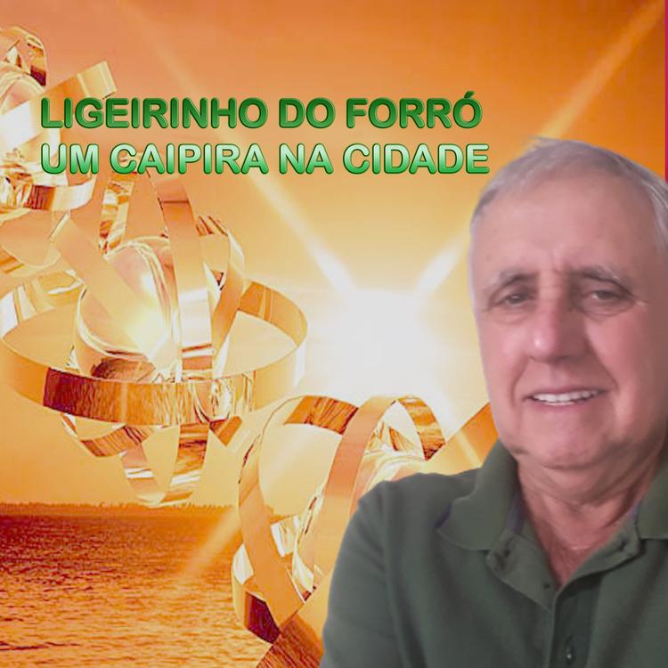 Ligeirinho do Forró's avatar image