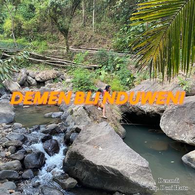 Demen Bli Nduweni's cover