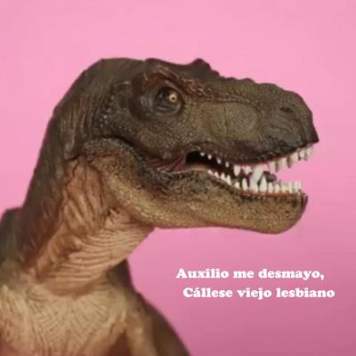 Auxilio Me Desmayo, Cállese Viejo Lesbiano's cover