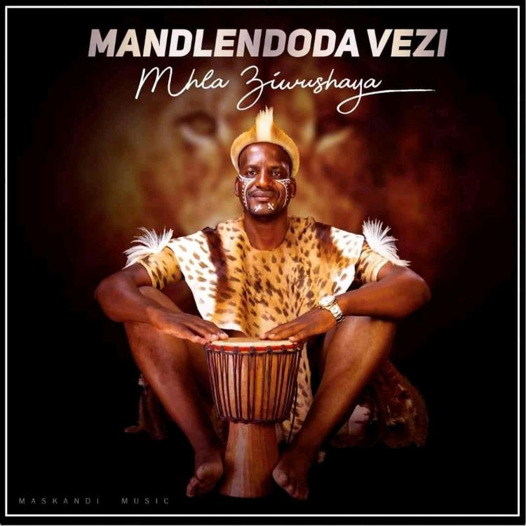 MANDLENDODA VEZI's avatar image