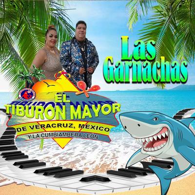 El Tiburón Mayor y La Cumbiambera León's cover