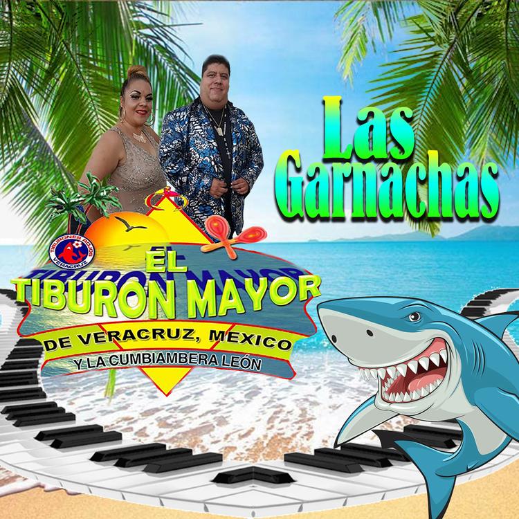 El Tiburón Mayor y La Cumbiambera León's avatar image