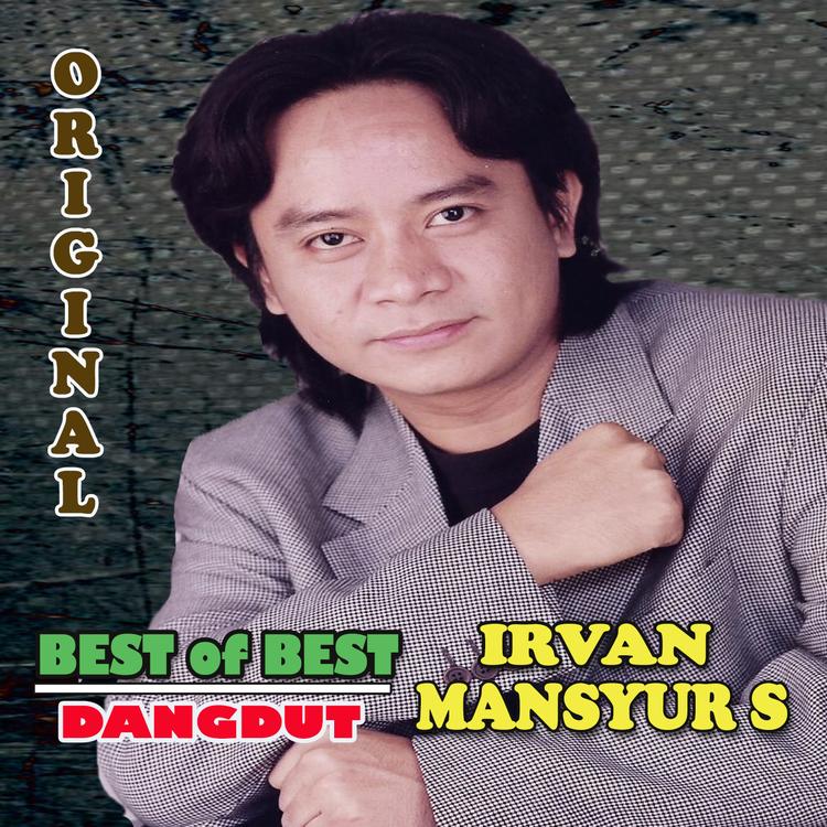 Irvan Mansyur S's avatar image