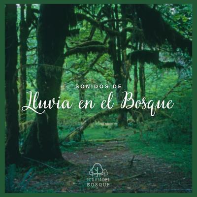 Sonidos de Lluvia en el Bosque (Pt.60)'s cover