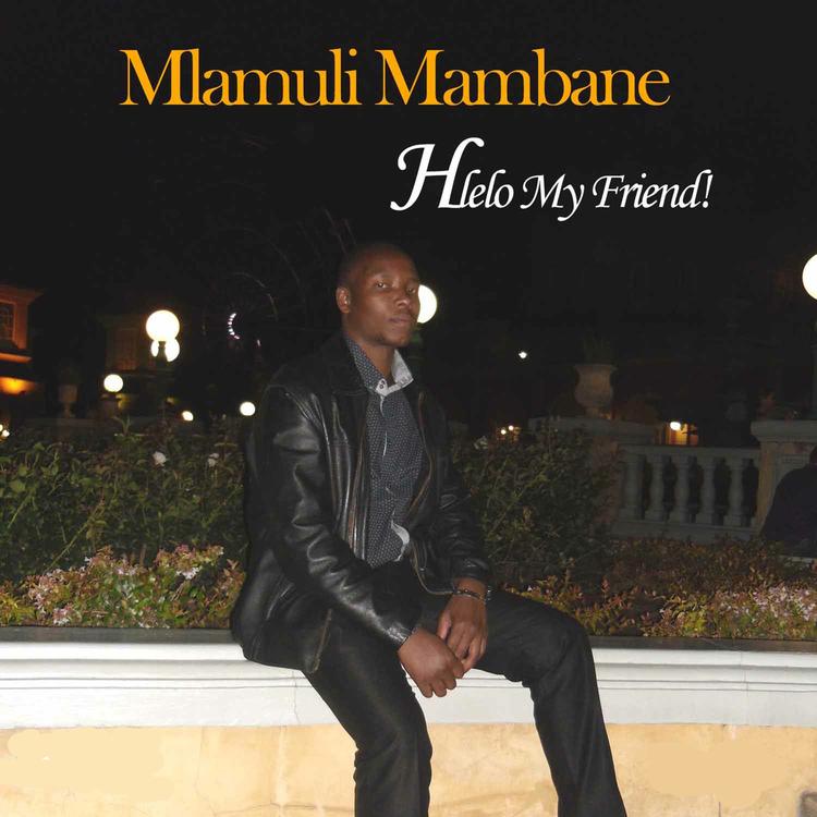 Mlamuli Mambane's avatar image