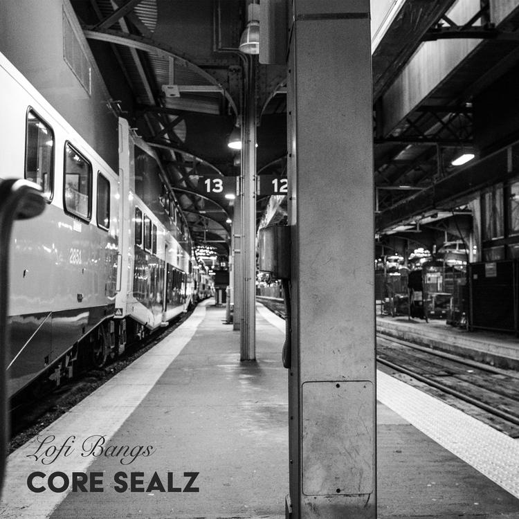 Core Sealz's avatar image