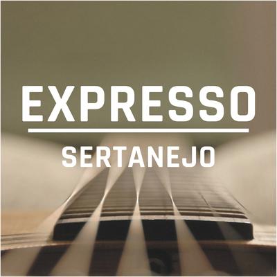 Vem pra Ficar Comigo By Expresso Sertanejo's cover