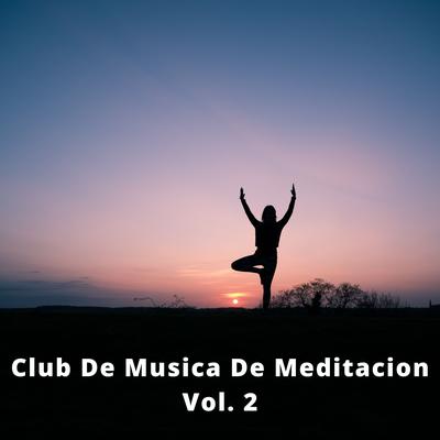 Club De Musica De Meditacion, Vol. 2's cover