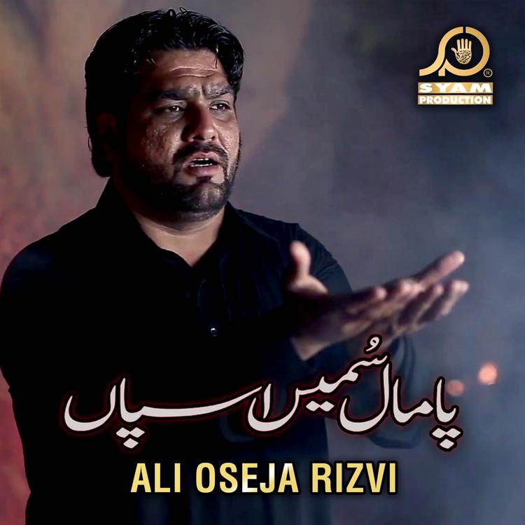 Ali Oseja Rizvi's avatar image