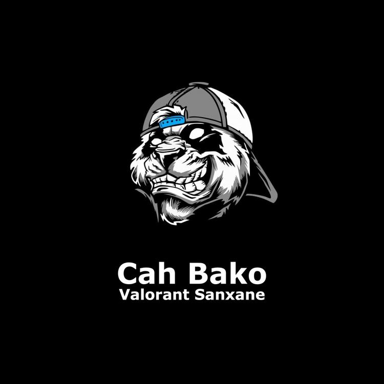 Valorant Sanxane's avatar image