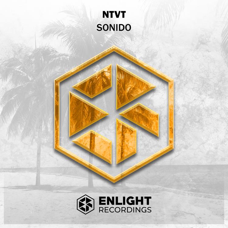 NTVT's avatar image