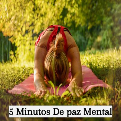 5 Minutos De paz Mental By Concentración's cover