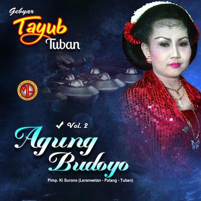 TAYUB AGUNG BUDOYO, Vol. 2's cover