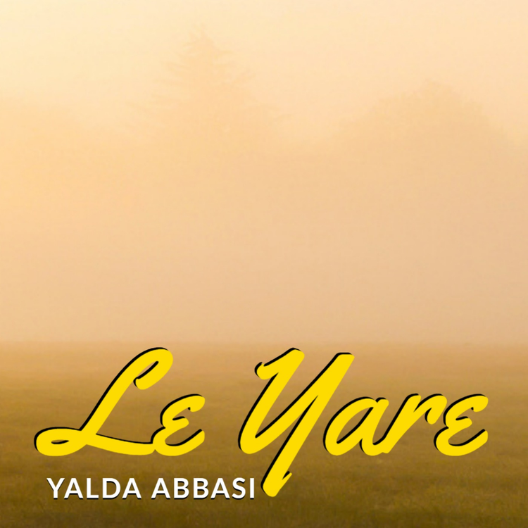 Yalda Abbasi's avatar image