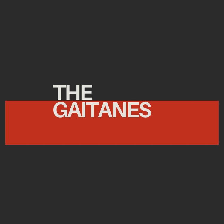 The Gaitanes's avatar image