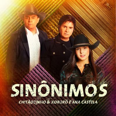 Sinônimos By Chitãozinho & Xororó, Ana Castela's cover