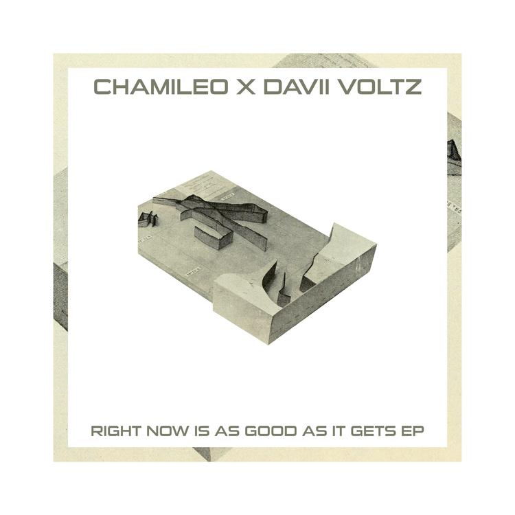 Chamileo X Davii Voltz's avatar image