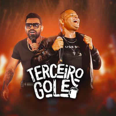 Terceiro Gole (Ao Vivo)'s cover