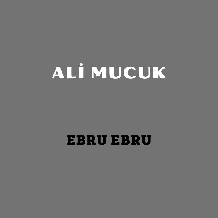 Ali Mucuk's avatar image