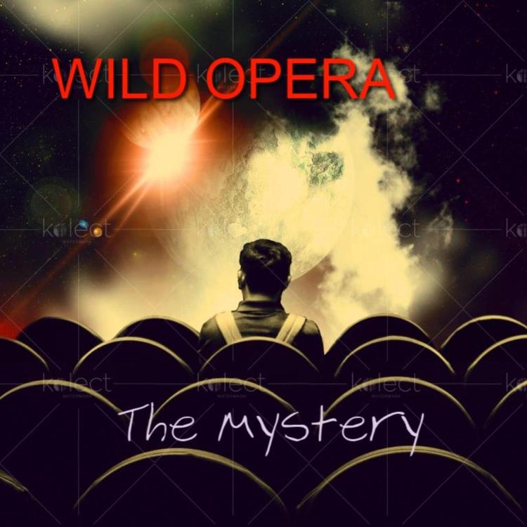 Wild Opera's avatar image