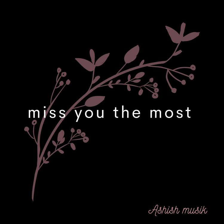 Ashish Musik's avatar image