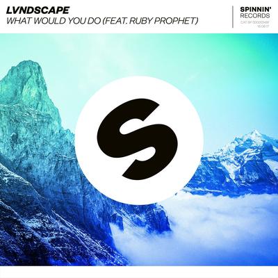 What Would You Do (feat. Ruby Prophet) By LVNDSCAPE, Ruby Prophet, Ruby Prophet's cover