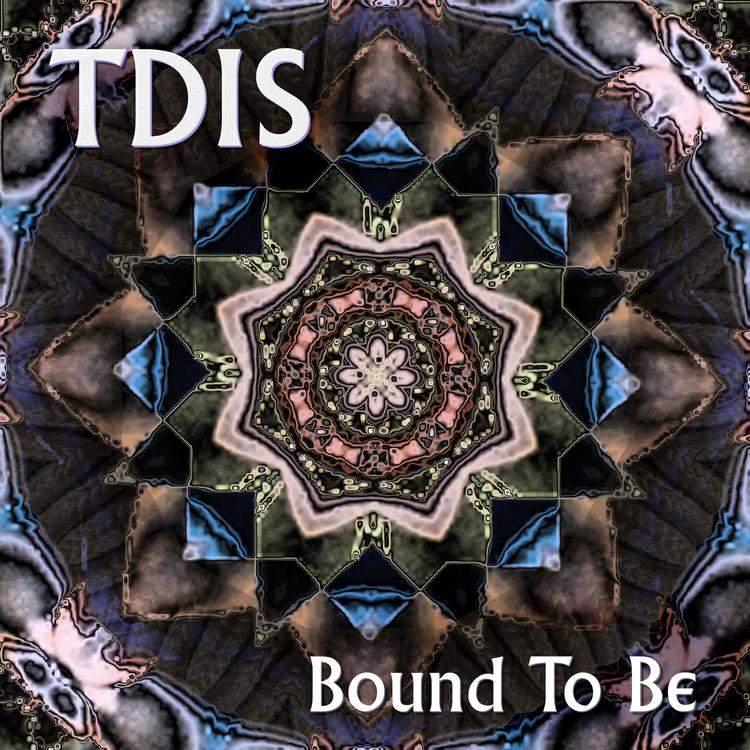 TDIS's avatar image
