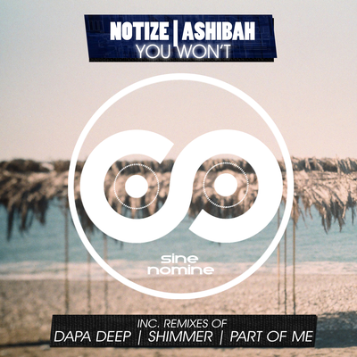 You Won't (Dapa Deep) By Notize, Ashibah, Dapa Deep's cover