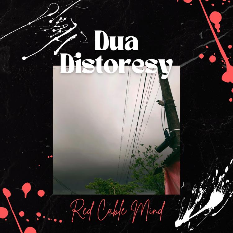 Dua Distoresy's avatar image