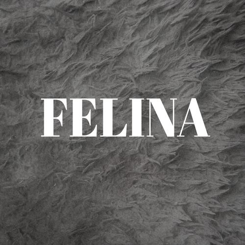 Felina's cover