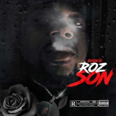 ROZ SON's cover
