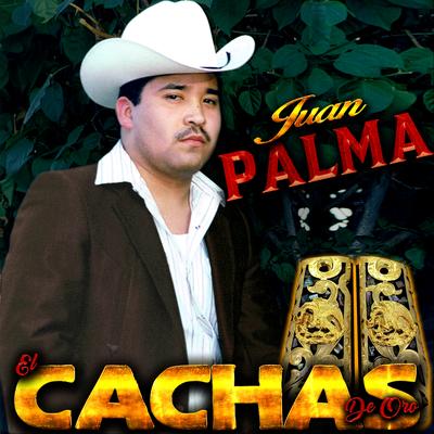 Juan Palma's cover