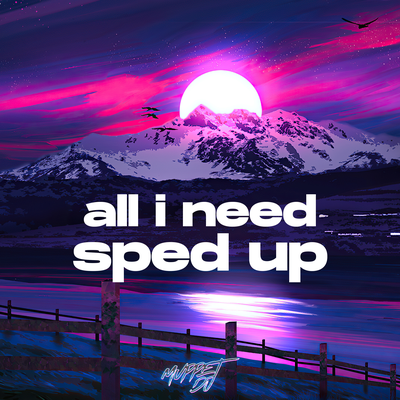 all i need sped up (Remix)'s cover