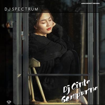 Dj Spectrum's cover