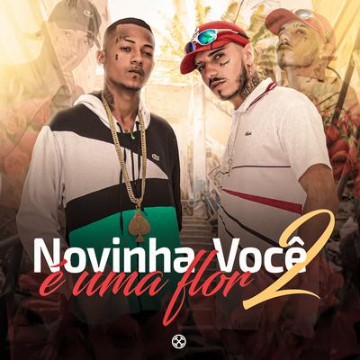 Novinha Voce É uma Flor 2's cover