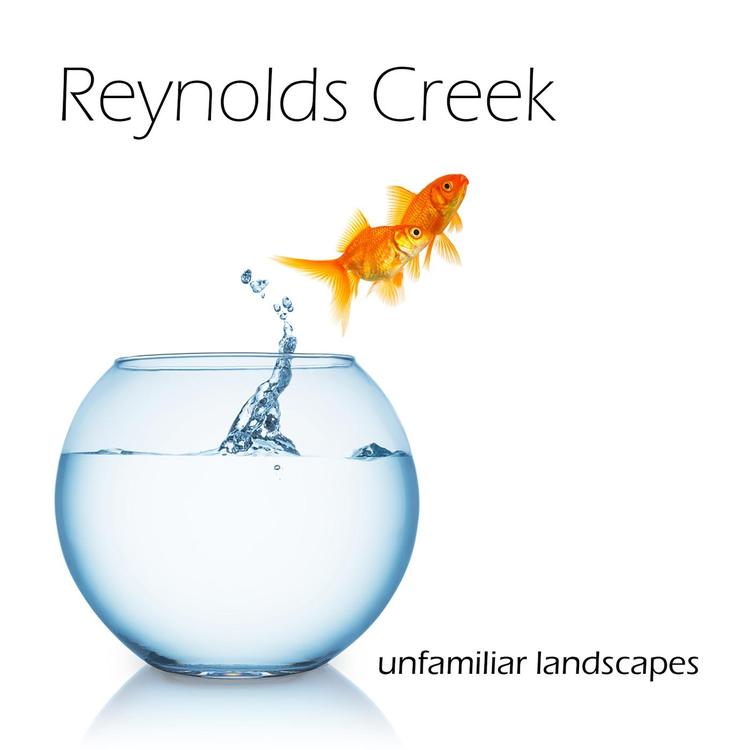 Reynolds Creek's avatar image