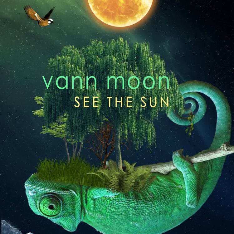 Vann Moon's avatar image