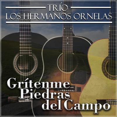 Trio Los Hermanos Ornelas's cover