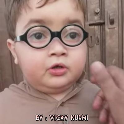 Piche Dekho Re By Vicky Kurmi's cover