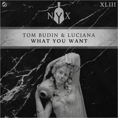 What You Want By Tom Budin, Luciana's cover