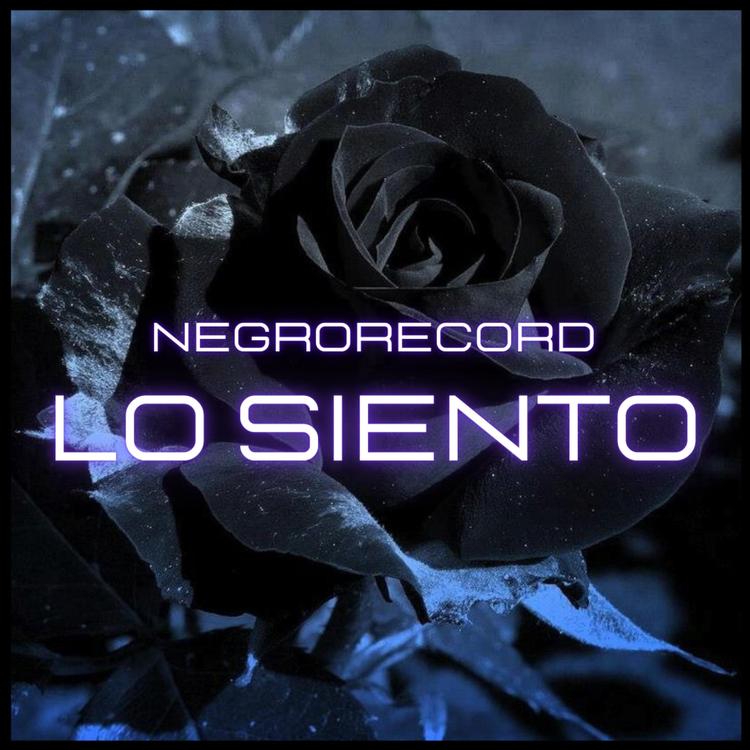 Negrorecord's avatar image