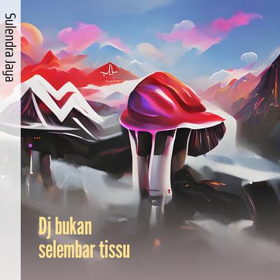 Dj Bukan Selembar Tissu's cover