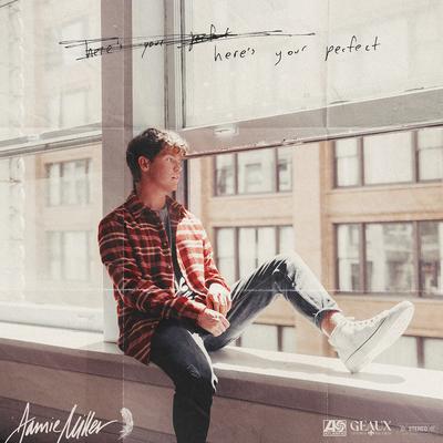 Here's Your Perfect By Jamie Miller's cover
