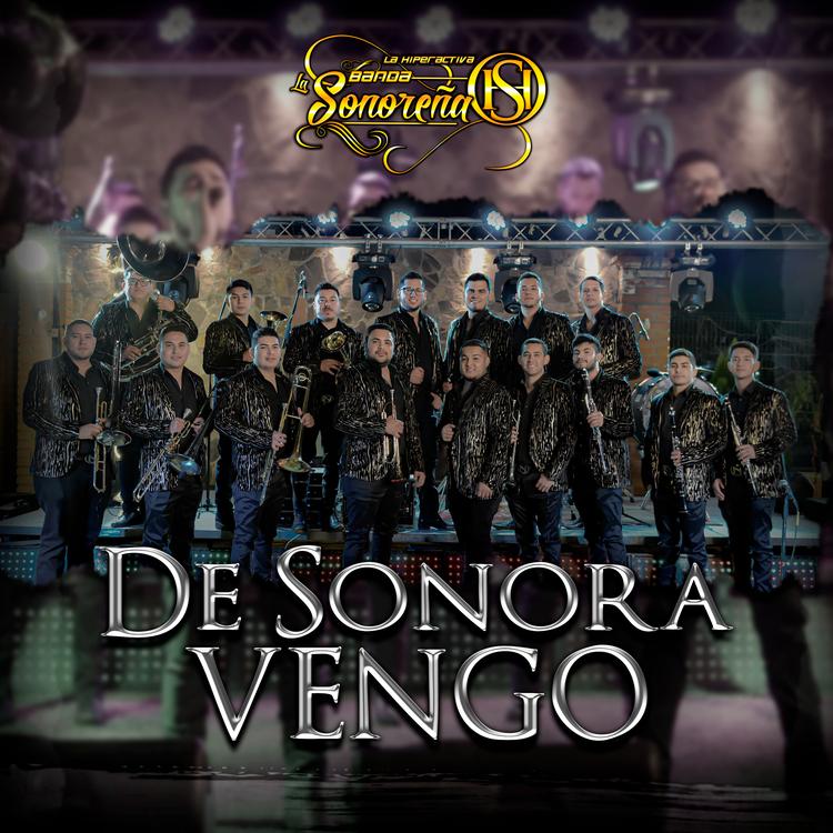 Banda la Sonoreña's avatar image